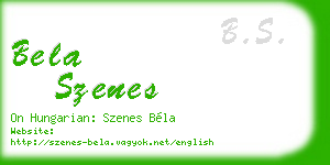 bela szenes business card